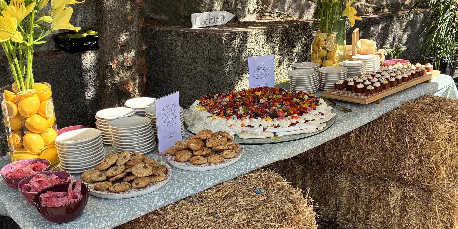 Mesa de Postres junto a balas de paja, con una tarta de merengue, frutas y flores, galletas, bizcochitos y jarrones con limones