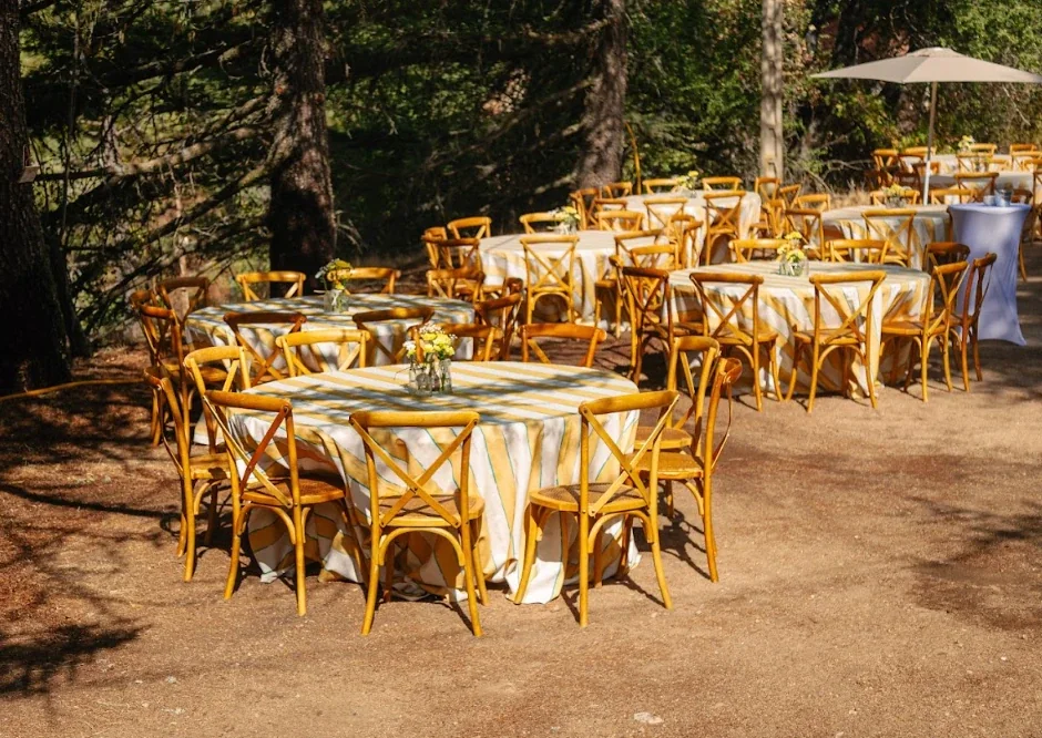 Mesas redondas con mantel de rayas amarillas, sillas de madera y flores, montadas bajo los pinos